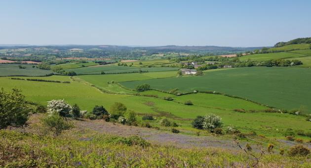 Rick Stein and Russell Watson among the celebrities appearing at East Devon festivals