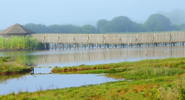 Donation for Seaton Wetlands