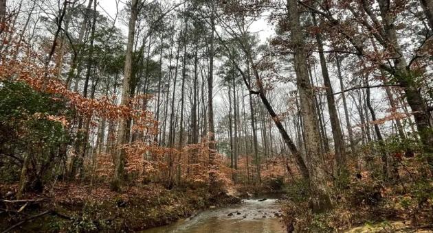Dunnavant Valley Greenway Park River