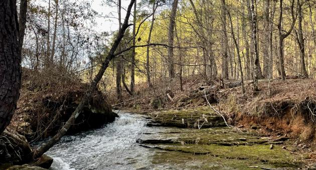 A babbling brook flows alongside a trail at Cahaba River Park.