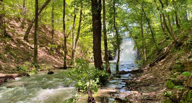 Park River Creek Fall