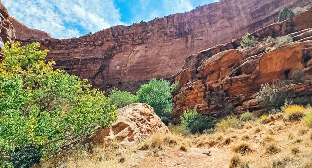 Hunter Canyon- only for trail listing