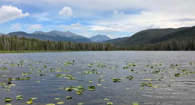 Strawberry Lake Trail Photo
