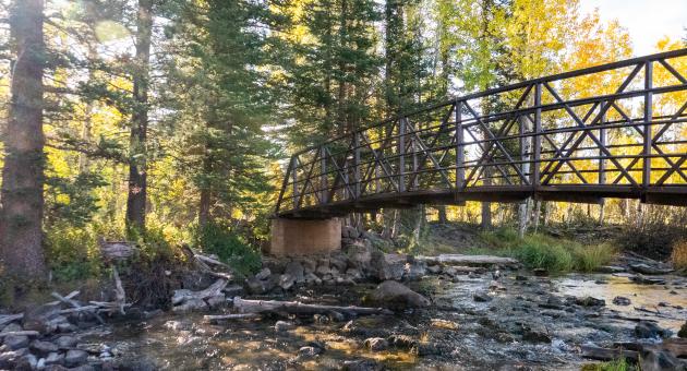 Aspen Mirror Trail bridge that leads to a fishing pond.