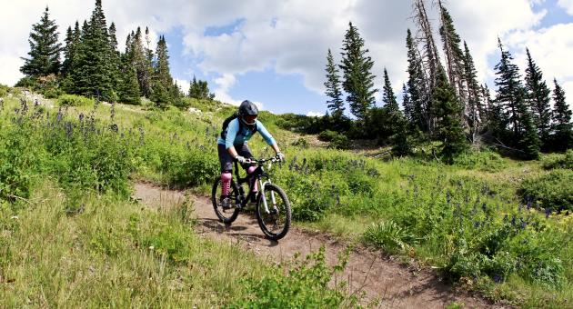 Brian Head Mountain Biking