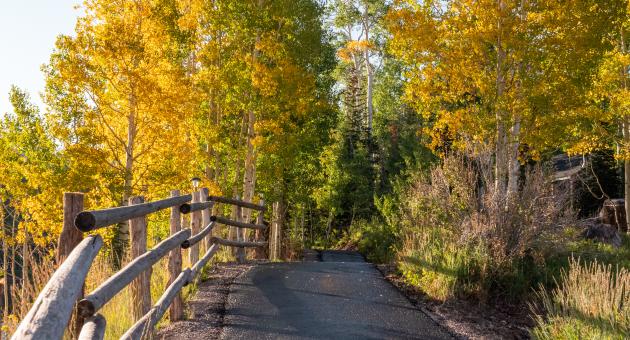 A paved trail through Brian Head, Ut