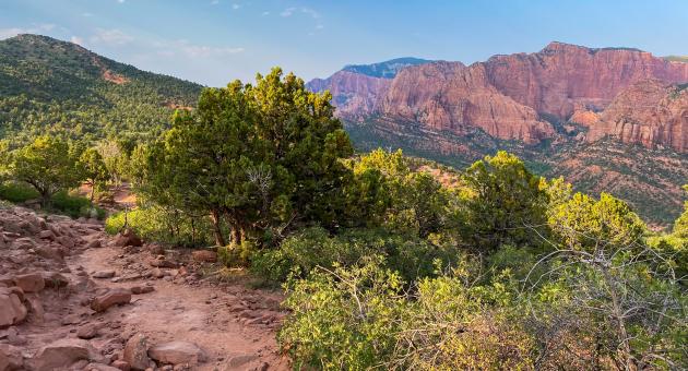 Kolob Timber Creek Trail