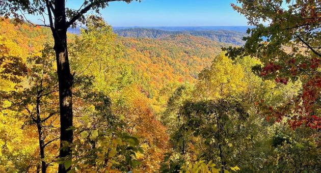Bad Creek Trail