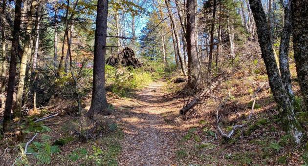 Bear Pen Gap Trail