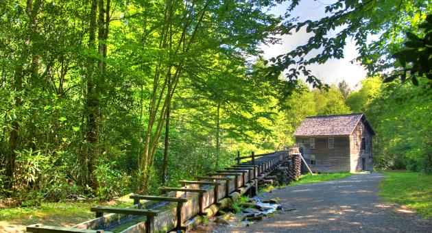 Mingus Mill