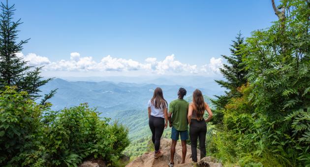 Waterrock Knob