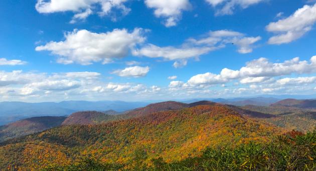 Yellow Mountain Hike