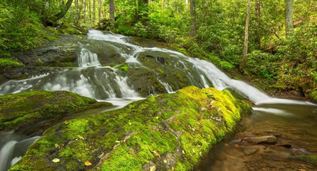 Chasteen Creek Falls