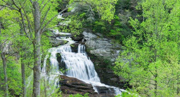 Cullasaja Falls Spring