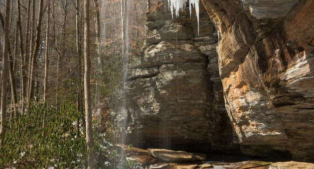 Moore Cove Falls