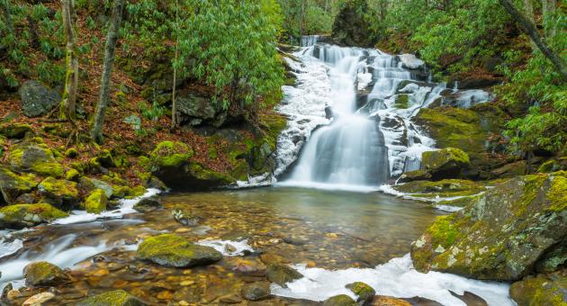 Rough Butt Creek Falls