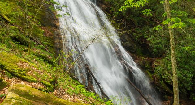 Rufus Morgan Falls