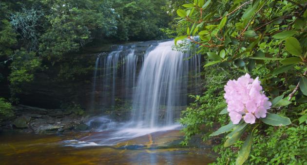 Schoolhouse Falls