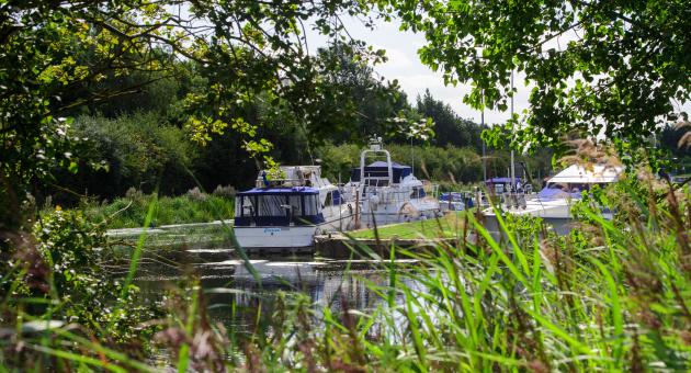 Docked boats surrounded by lush greenery
