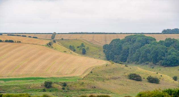 Rolling hills in the Lincolnshire countryside