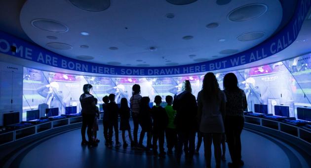 Manchester City Stadium and Club Tour