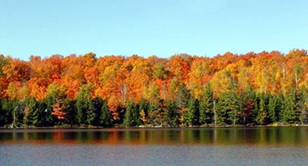 fall colors by the lake