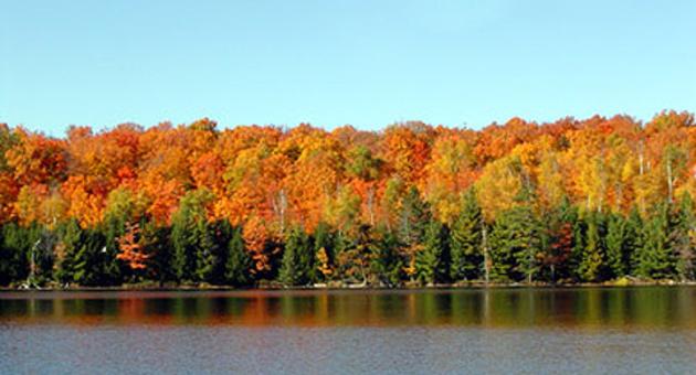 fall colors by the lake