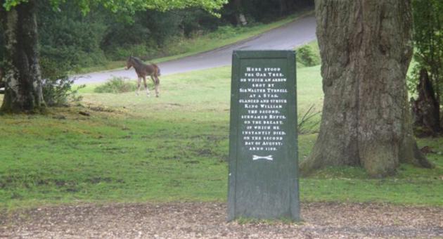 Brook to Minstead Village Walk