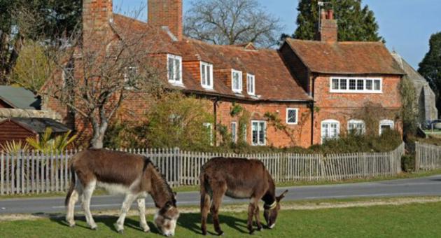 Beaulieu to Brockenhurst Cycle Route