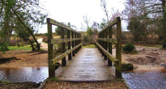 Whitefield Moor Long