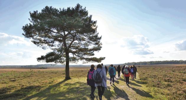 guided walk blog - 2022