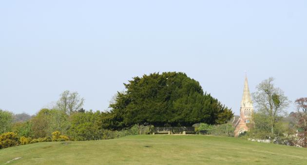 Boltens Bench