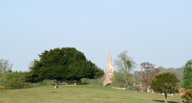 Lyndhurst Parish Walk