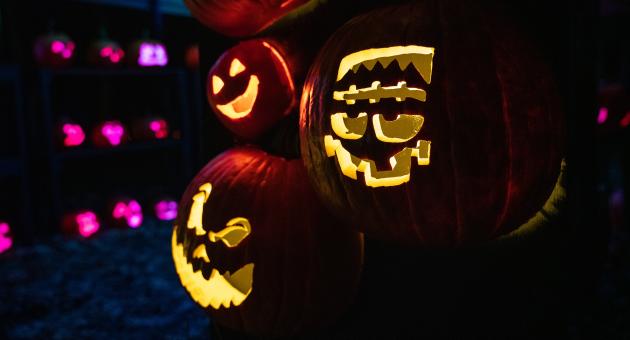 Grinning pumpkins at The Electrifying Jack O'Lanter Experience