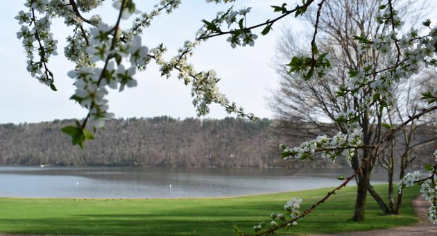 Check Out the Scenery at State Park