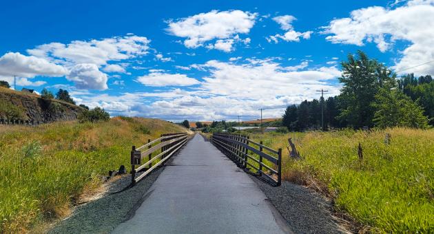 Chipman Trail