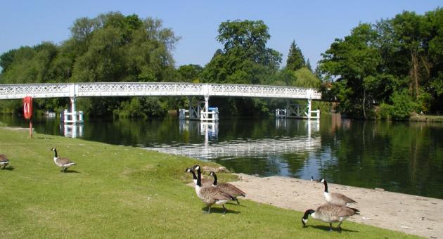 Whitchurch Bridge