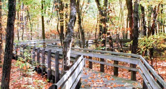 Calumet Dunes Trail - Indiana Dunes National Park