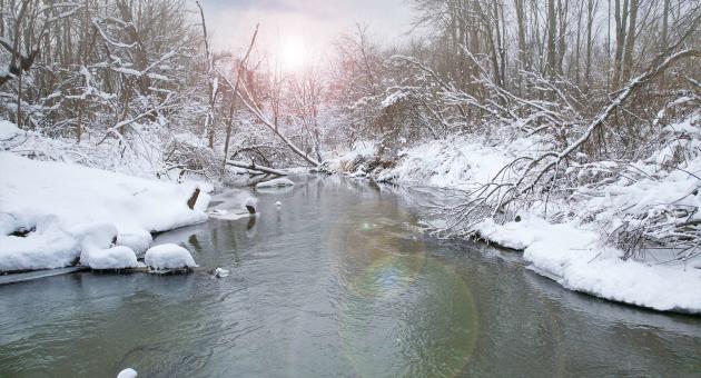 Heron Rookery Trail - Indiana Dunes National Park