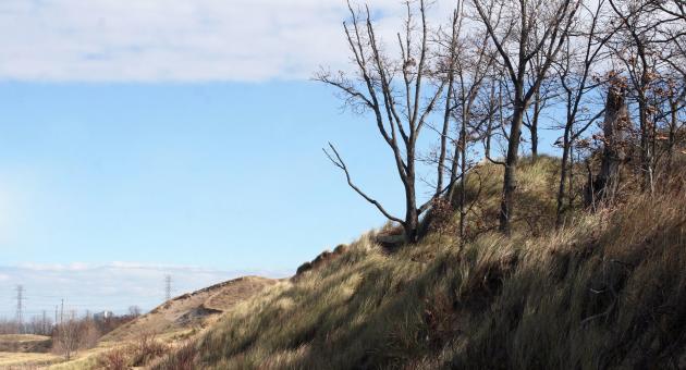 Mount Baldy - Indiana Dunes National Park