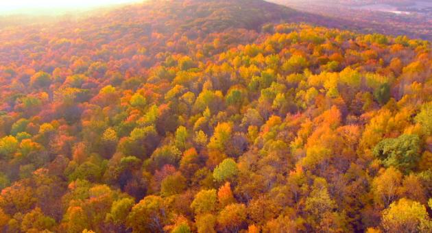 Rib Mountain Wausau Brilliant Fall Color