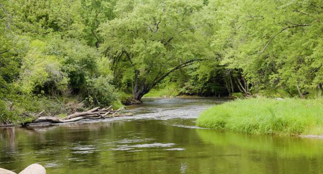 Eau Claire River Trail