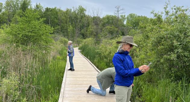 Nature Preserve boardwalk