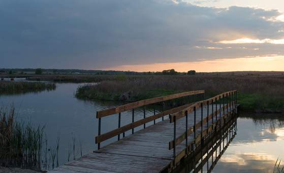 Goose Pond Friends brightened