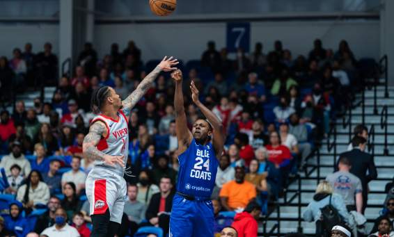 Delaware Blue Coats