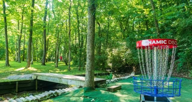 Image is of a disc golf whole in the woods of Idlewild Park