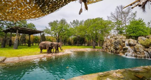 Elephant Springs zoo