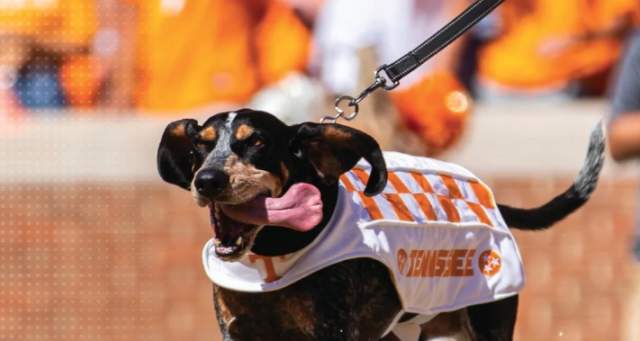 University of Tennessee Game Day Information