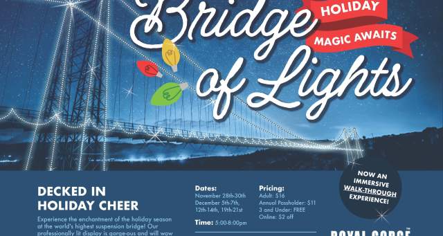 Bridge of Lights