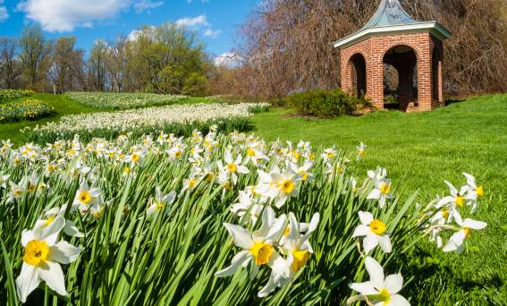 Greater Wilmington’s Winterthur Garden in Bloom Year-Round